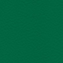 Спортивное покрытие Teraflex коллекция Performance цвет зеленый